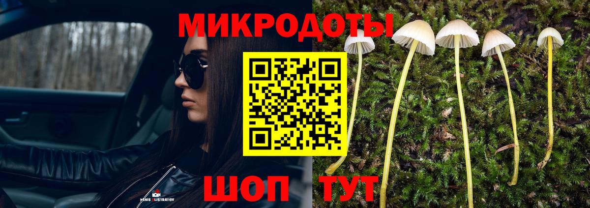 наркотики  Псилоцибиновые грибы мухоморы  Вход с VPN  Волжский 