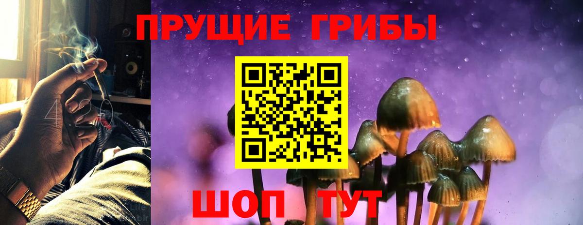 Псилоцибиновые грибы Magic Shrooms Волжский